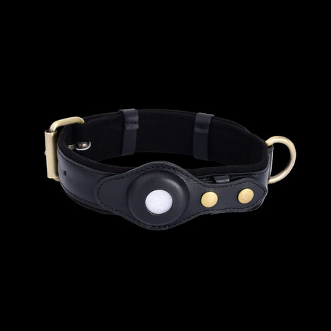 Smart GPS Pet Tracker Collar - Innovibe Lab