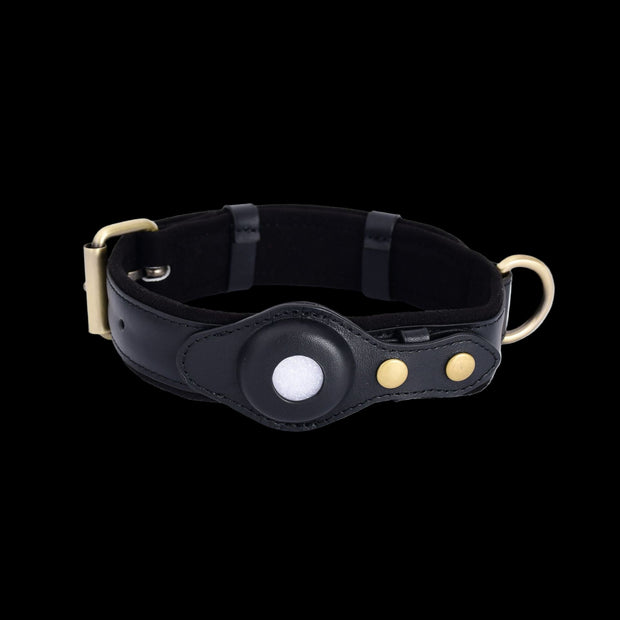 Smart GPS Pet Tracker Collar - Innovibe Lab