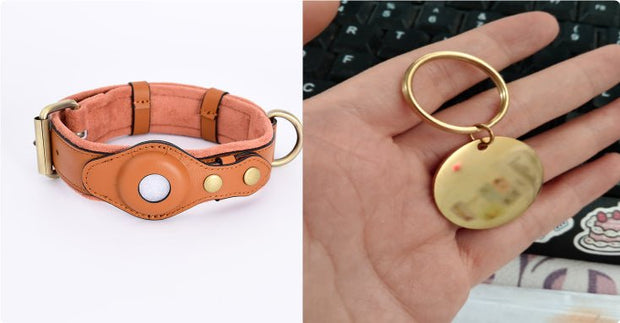 Smart GPS Pet Tracker Collar - Innovibe Lab